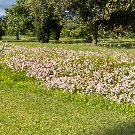 Podere Sant' Antonio Venkovský dům Alberese