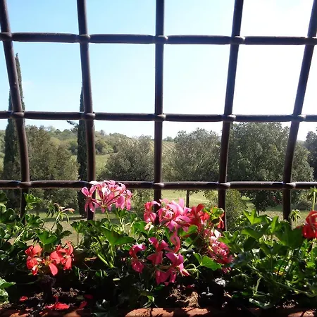 Podere Sant' Antonio Venkovský dům Alberese