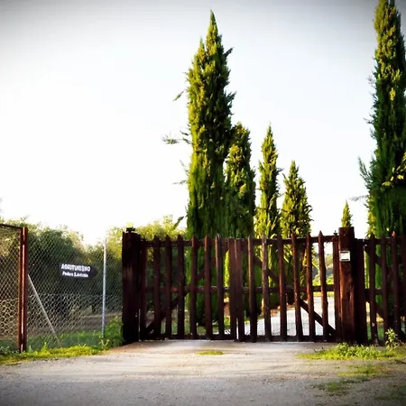 Podere Sant' Antonio Alberese