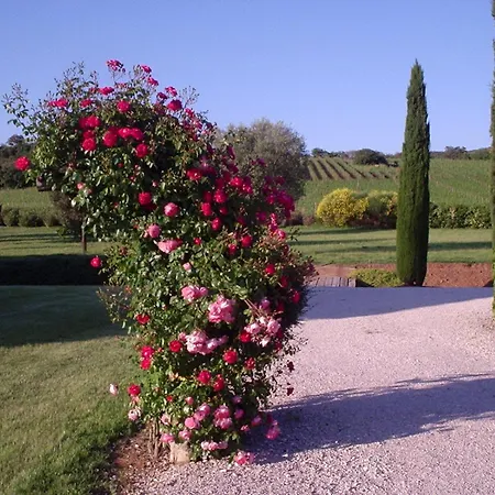 Casa di campagna Podere Sant' Antonio