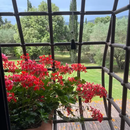 Casa di campagna Podere Sant' Antonio