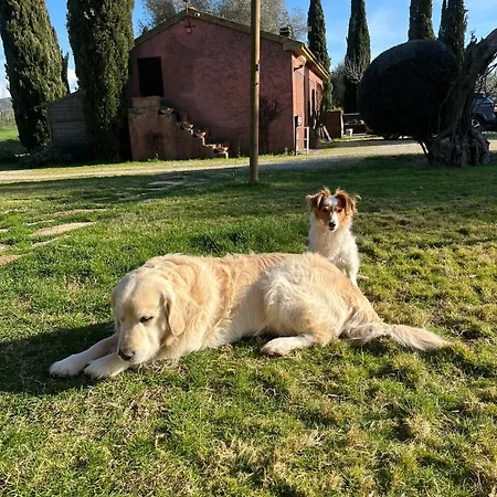 Casa di campagna Podere Sant' Antonio
