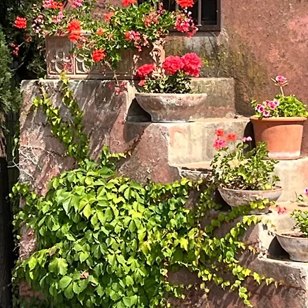 Casa di campagna Podere Sant' Antonio