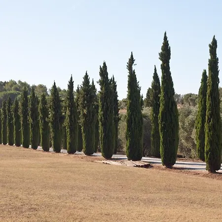 Casa di campagna Podere Sant' Antonio *